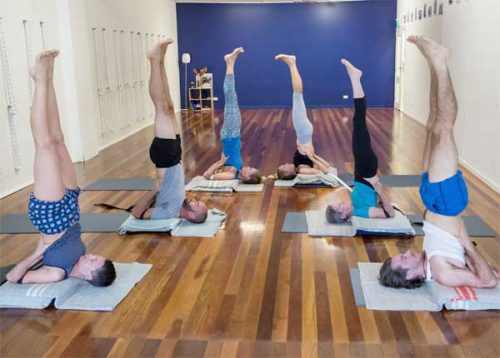 yogo memberships in lismore